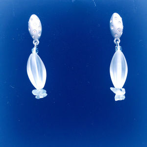 Swarovski crystal encrusted teardrop earrings NWT